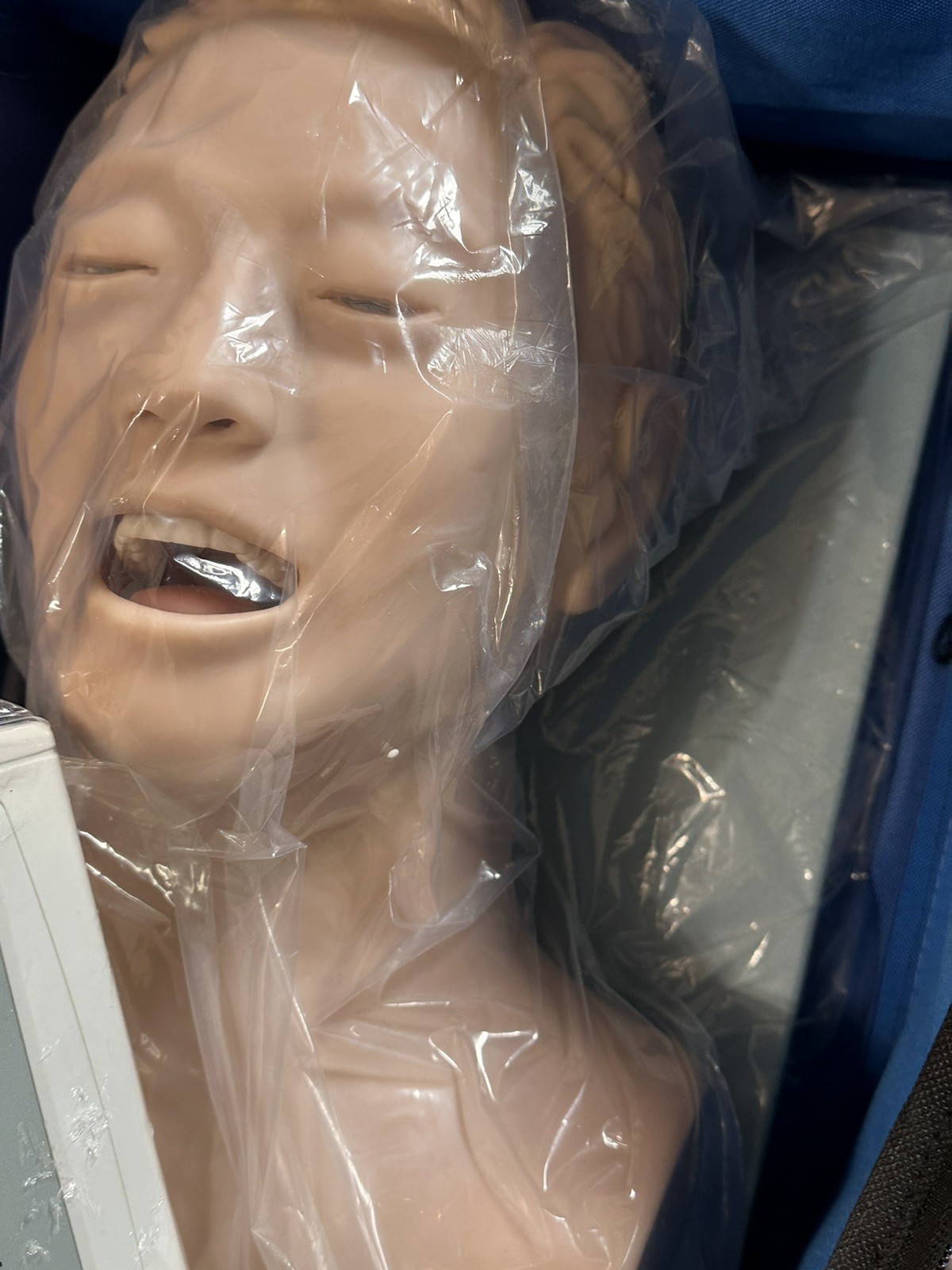 Teaching Model Airway Management Trainer Intubation Manikin Study for Training
