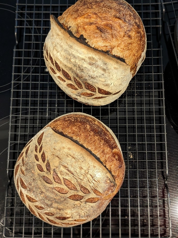 Sourdough Starter from Idyllwild