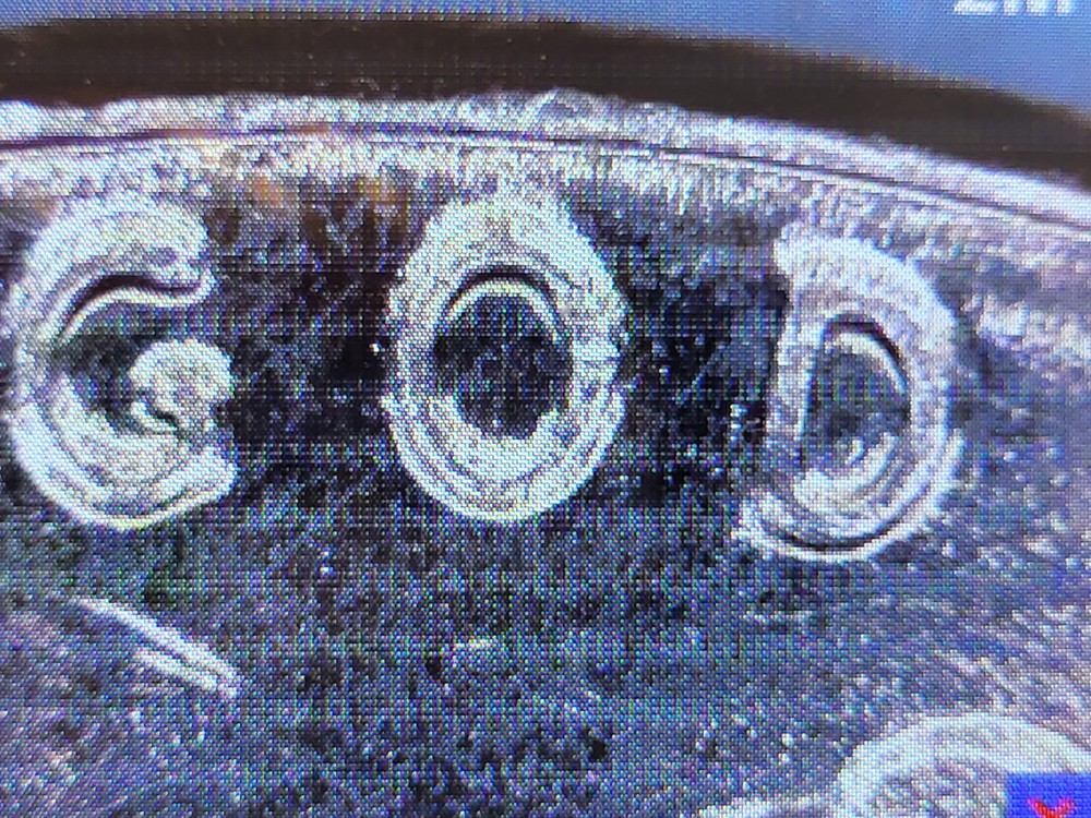 2023 D Lincoln Shield Cent, , which has a ( DDO/ DDR/EAR/TEAR ERROR