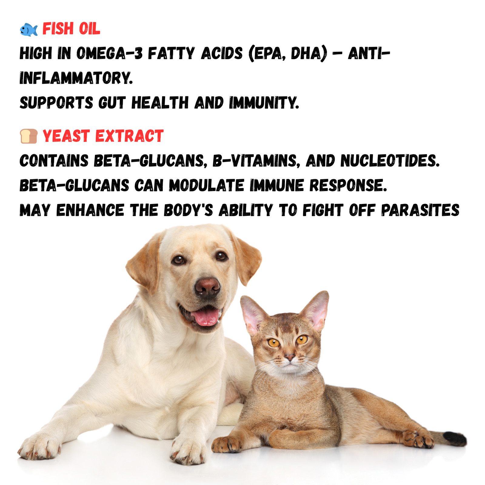 Dewormer for Dogs and Cats Natural De-Wormer Intestinal Cleanser Canine 90 Chews