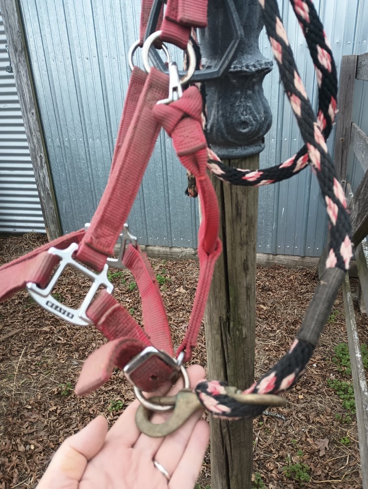 Weaver Halter and Lead Rope Used Set