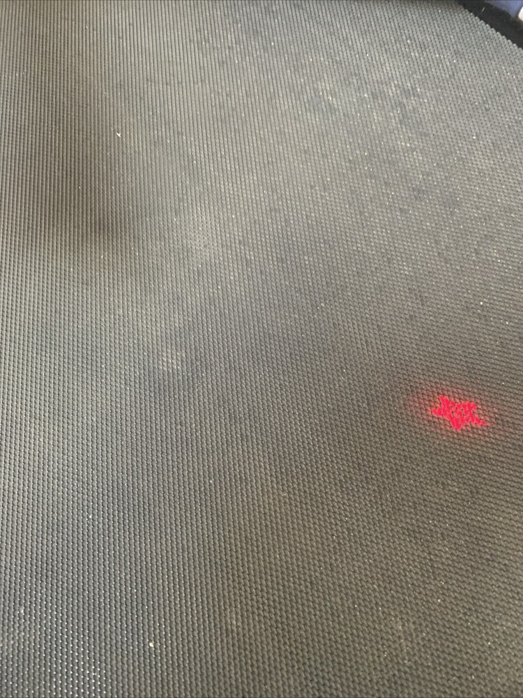 cat laser pointer