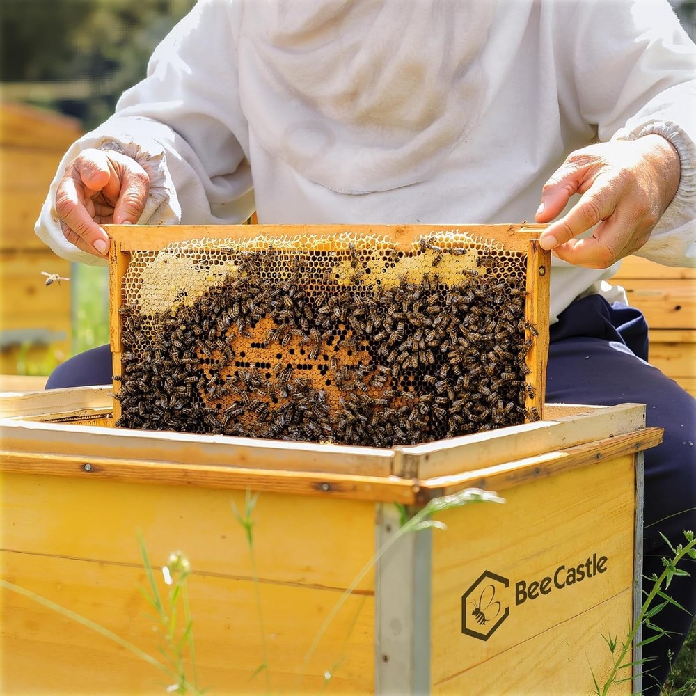 20 Pack Deep Brood Beehive Frames with Wax Foundations Honey Bee Frames New