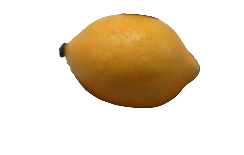 Artificial Lemon Plastic Fruit