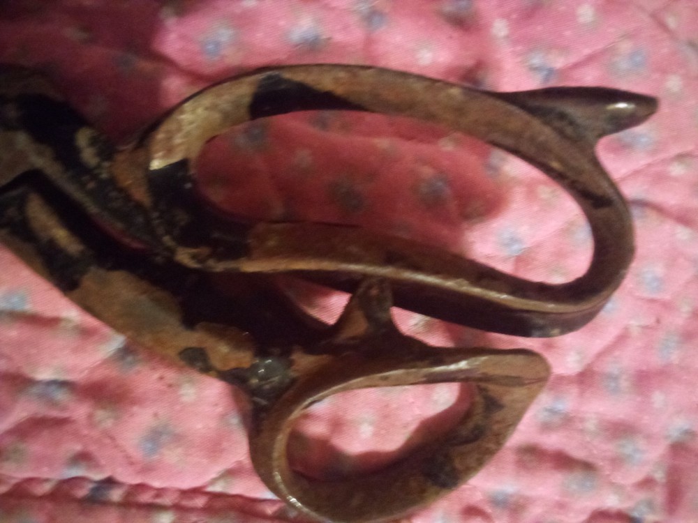 Clauss Scissors. Model: #4N.