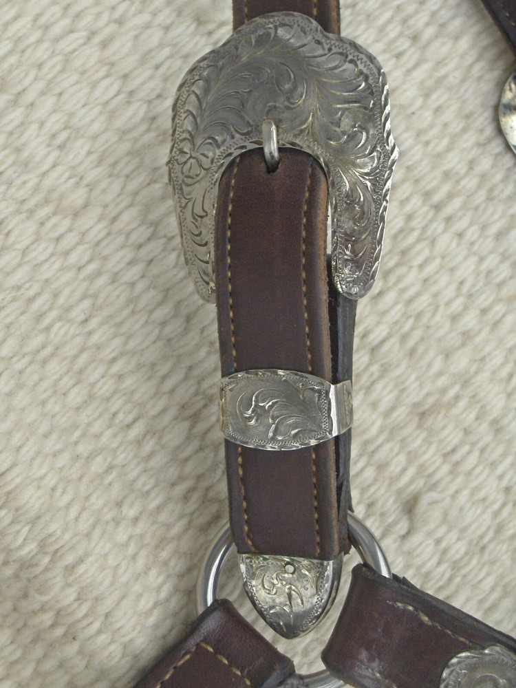 BILLY ROYAL WESTERN SHOW HALTER with SILVER@@