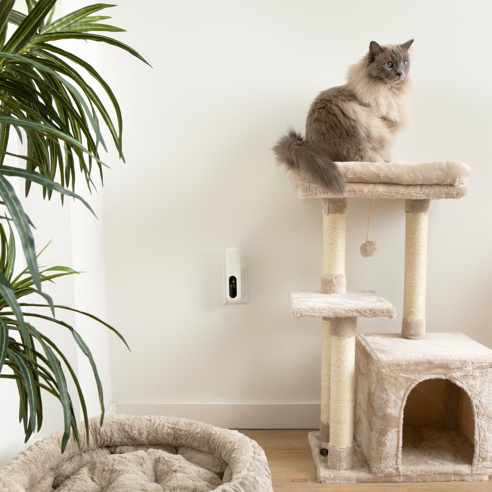 Zesty Paws Cat Calming Diffuser Starter Kit, Plug-in Pheromone Diffuser with