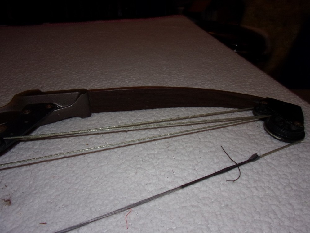 Bear Whitetail Hunter Vintage Compound Bow