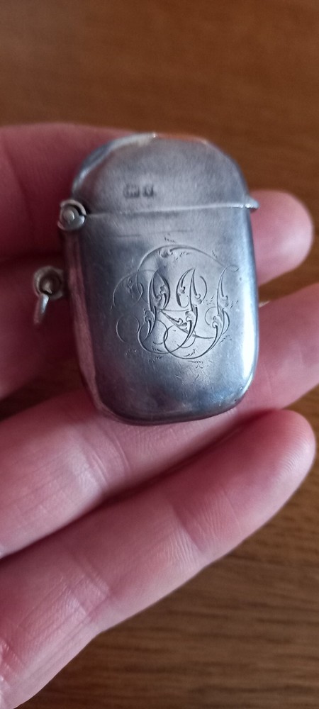 Silver Vesta Case
