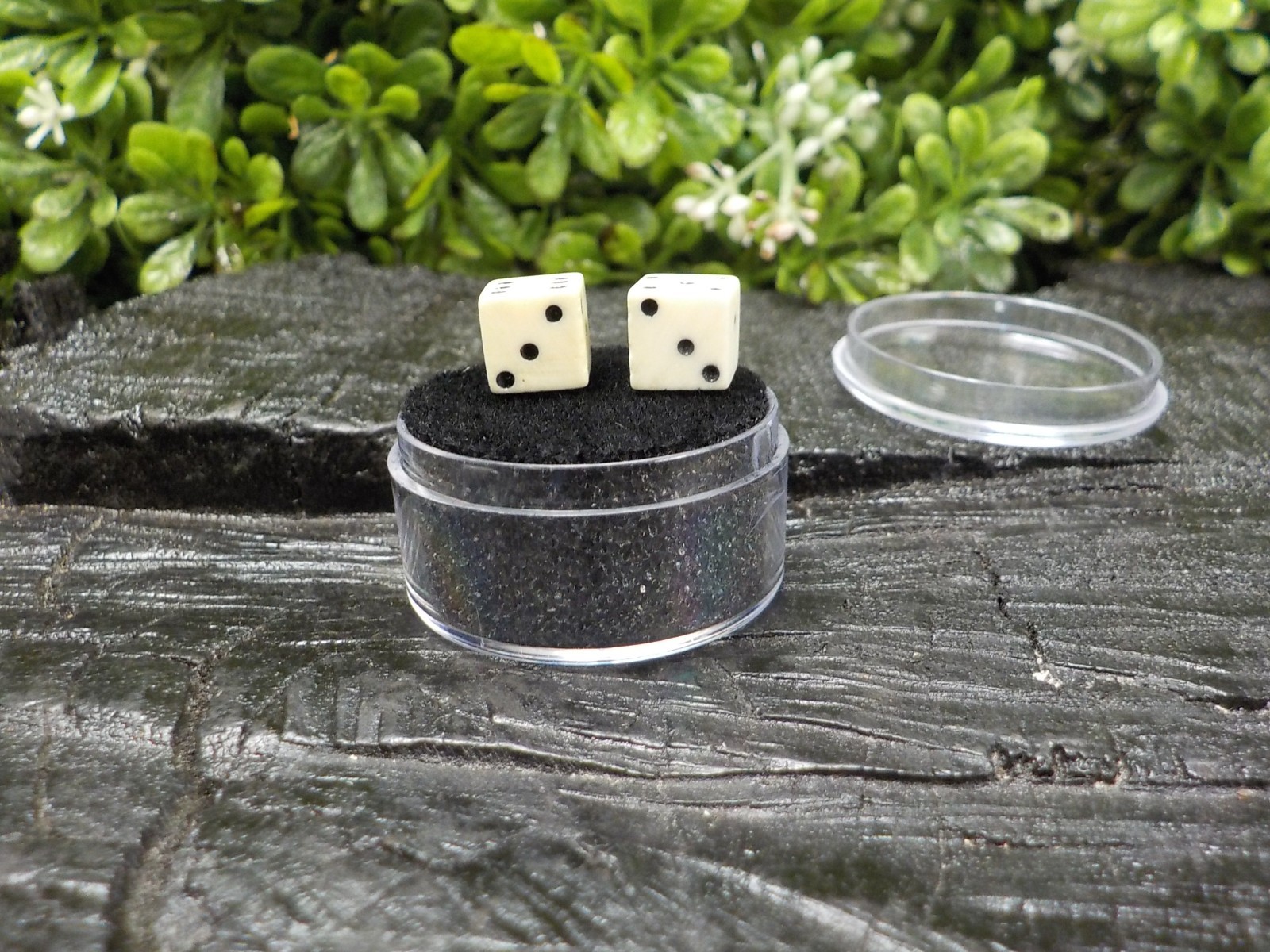 Old Rare Vintage Antique Civil War Relic Bone Dice Set Extremely Rare Free Case