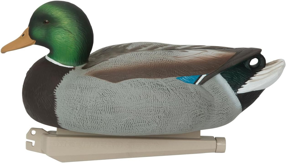 Avery GHG Essential Mallard Duck Decpus - 12 Pack