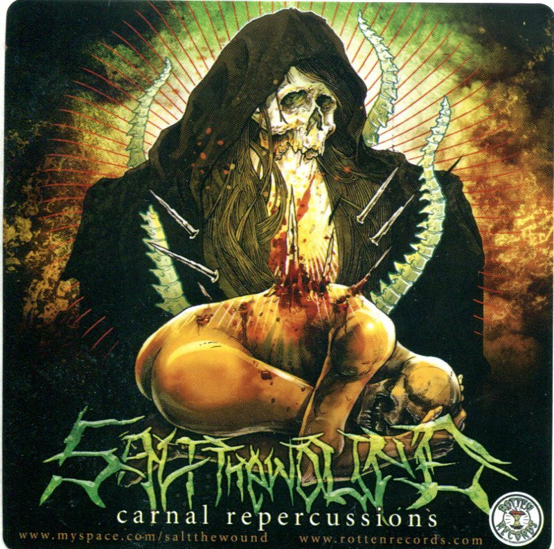 SALT THE WOUND - CARNAL REPERCUSSIONS PROMO STICKER UV COATED DECAL NOS