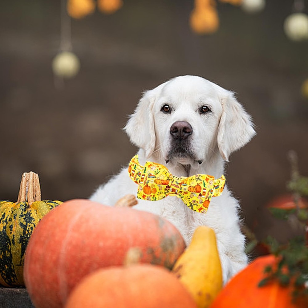 Fall Dog Collar With Bowtie Adjustable Heavy Soft Medium Dog Halloween Gift