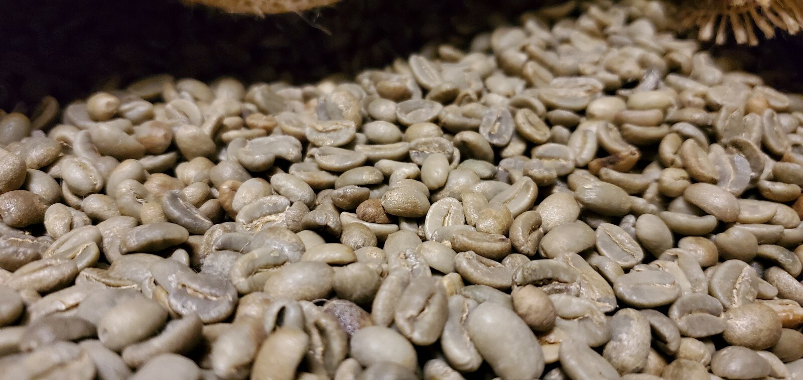 5 LBS PAPUA NEW GUINEA UNROASTED GREEN COFFEE BEANS - ARABICA