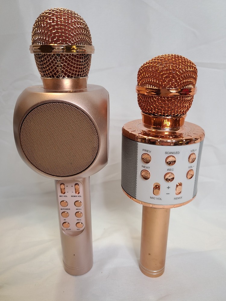 Karaoke Wireless Microphones