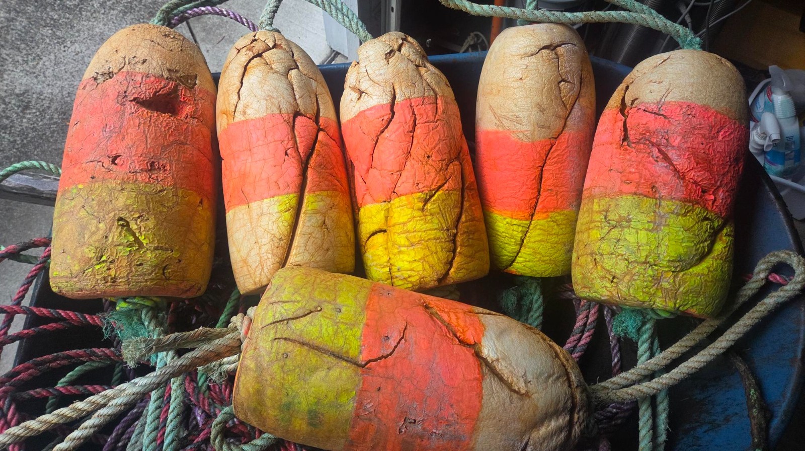 Used Crabbing Buoys - GREAT Color & Authentic Ocean Wear - w/ Rope for Hanging