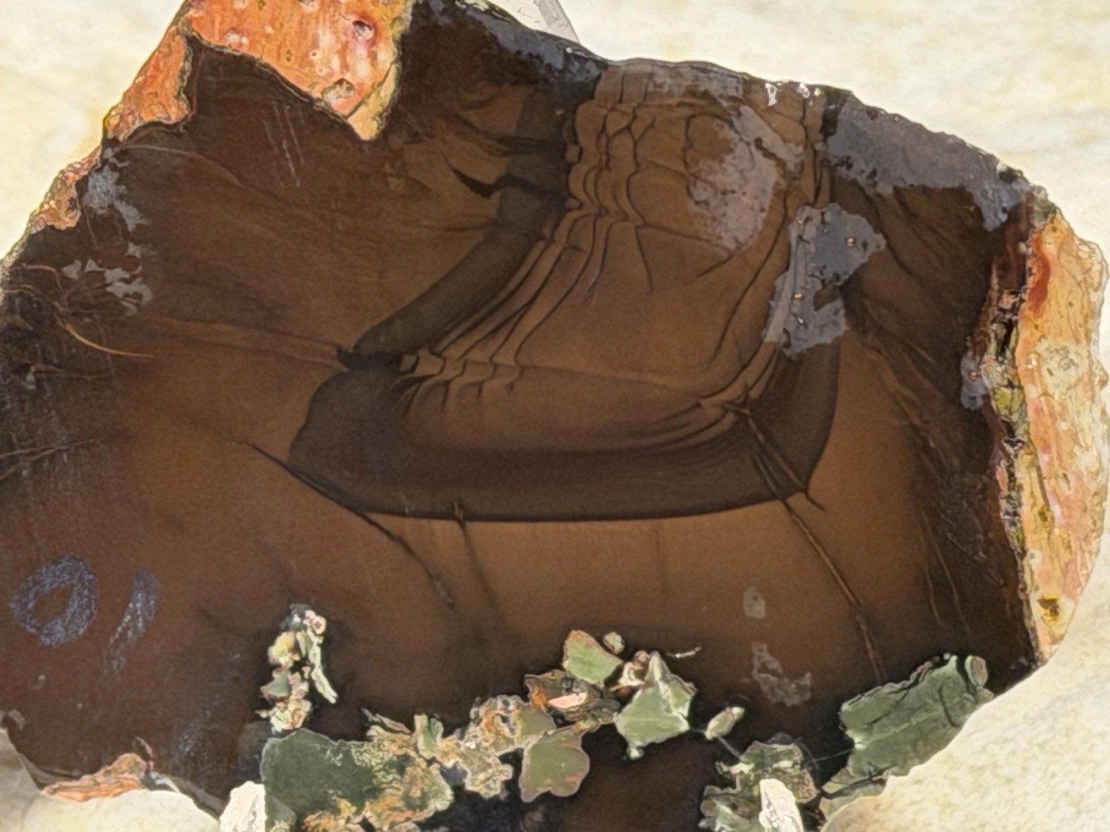 Whiskey Creek Jasper Slab Set , Lot#304