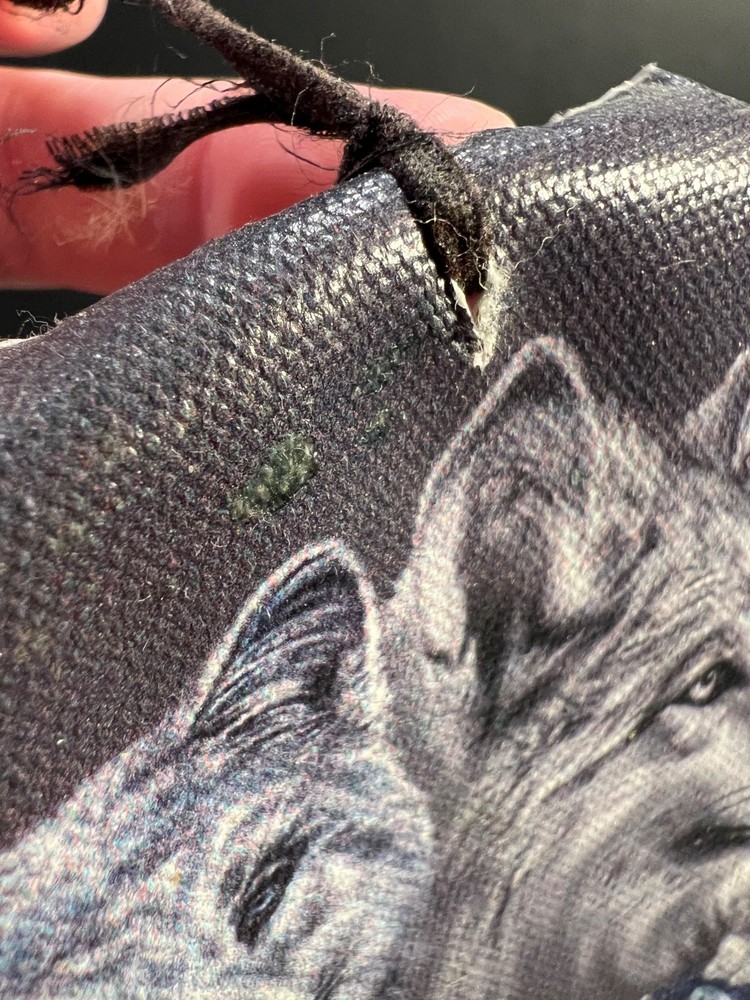 Wolf Theme Webbed Dream Catcher - Small Size - Preowned Native American