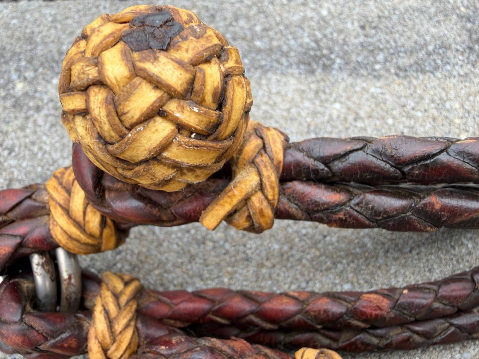Vintage Russet Hand-Braided Leather & Rawhide Show Hobbles Cowboy Vaquero Horse