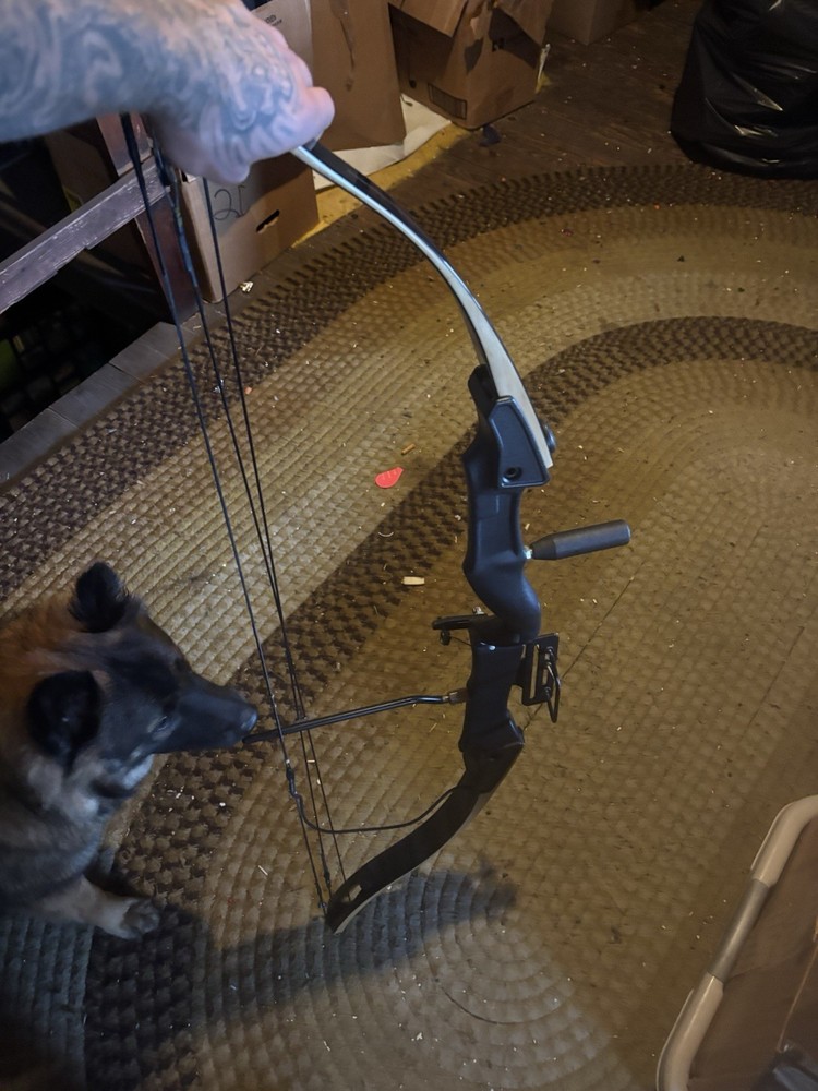 Bear Compound Bow with Case