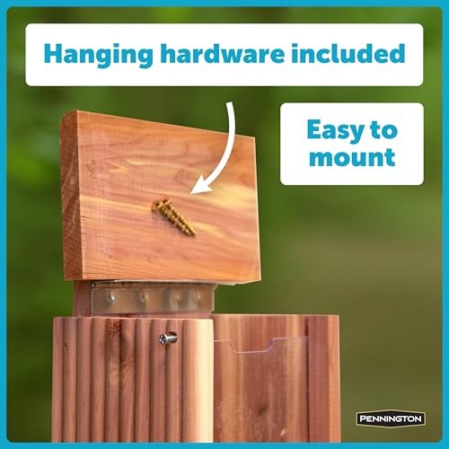 Pennington Cedar Squirrel Snacker Feeder, 2.75 LB Pounds Capacity,
