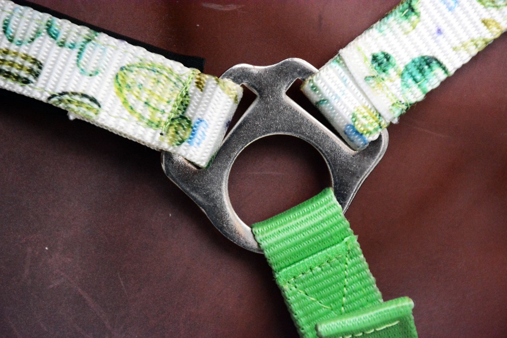 Cactus HILASON 1 Inch Iron Sheet Fitting and Fully Adjustable Halter Cactus