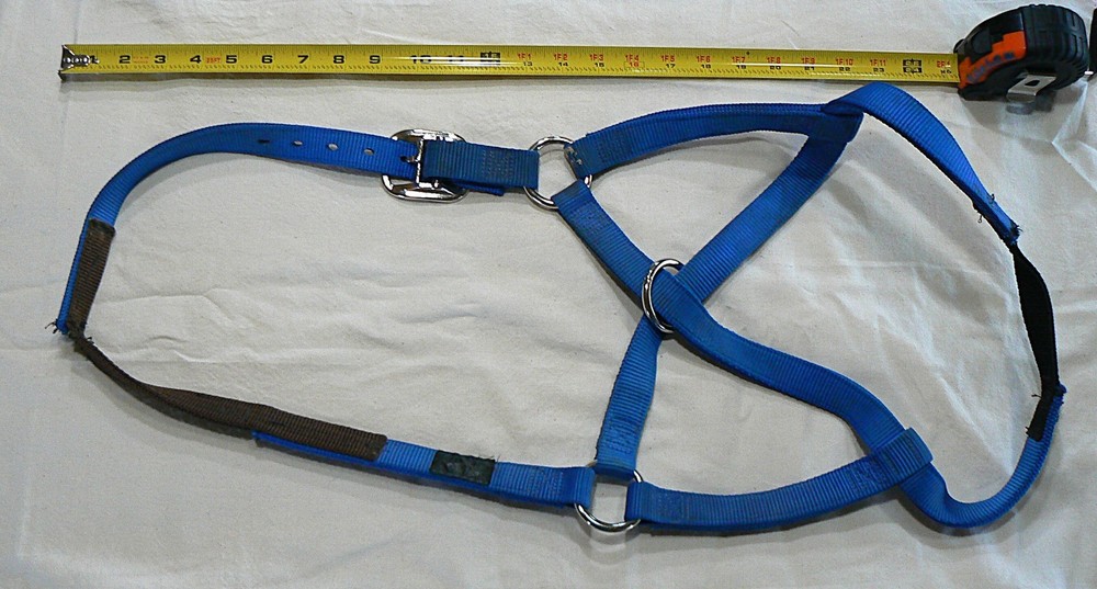 Extra Large Cow/Bull Halter