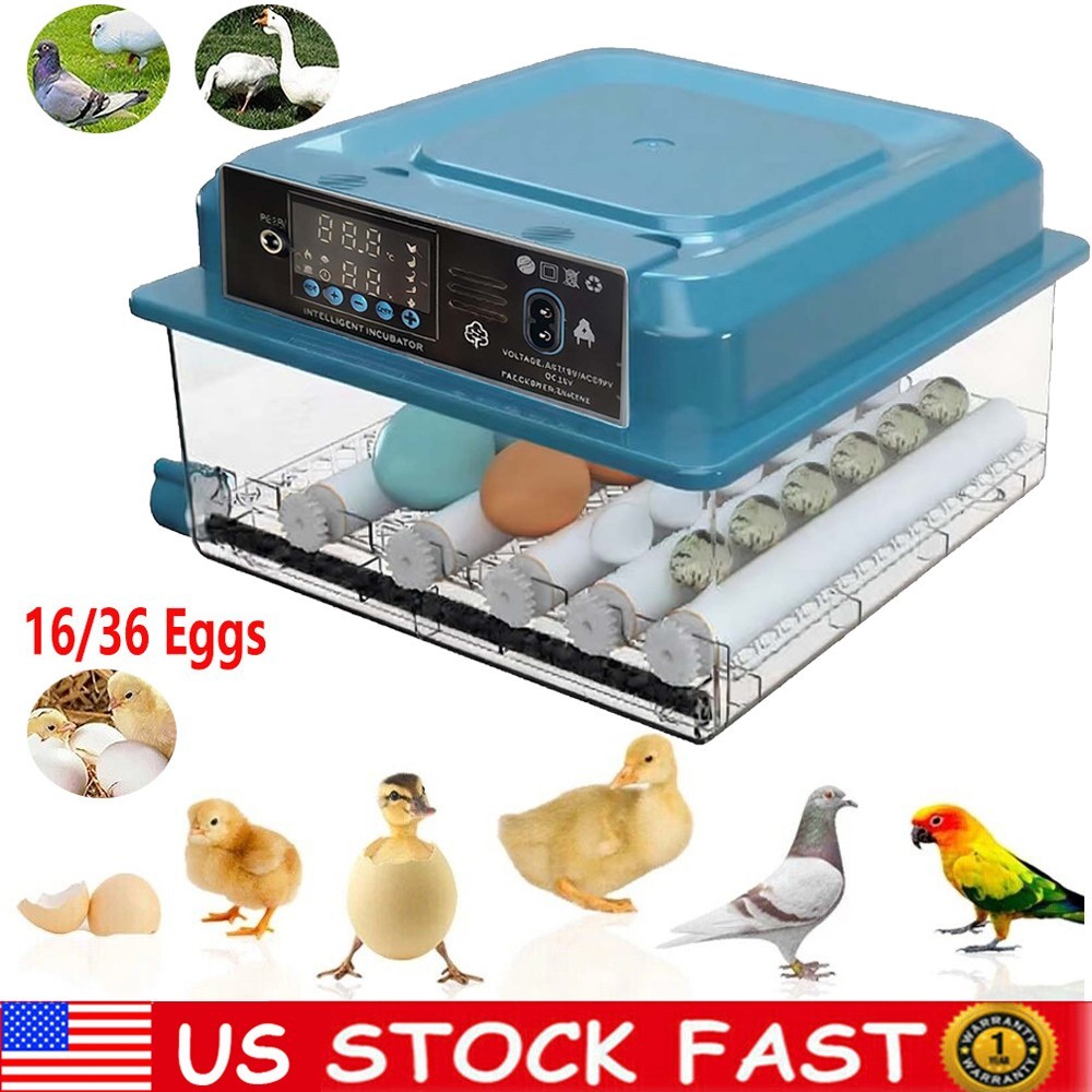 16/36 Eggs Incubator Digital Hatcher Temperature Control Fully Automatic Turning