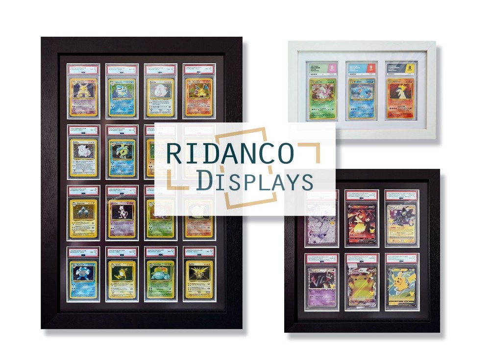 Ridanco 3 PSA Extended Art Print 151 Grass Starter Evolutions Graded Card Frame