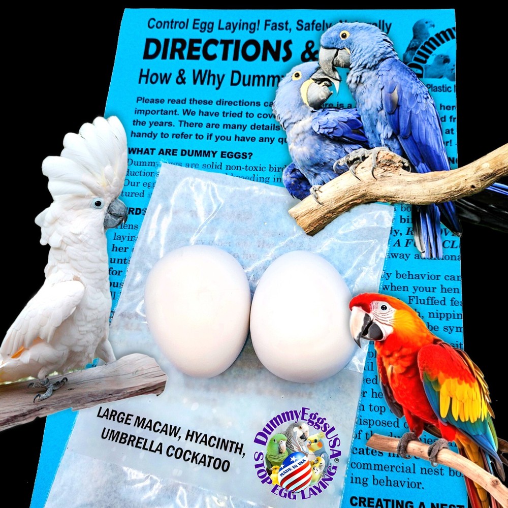 Dummy Eggs LARGE PARROT PLASTIC BIRD EGGS Control Laying Macaw Cockatoo Solid US