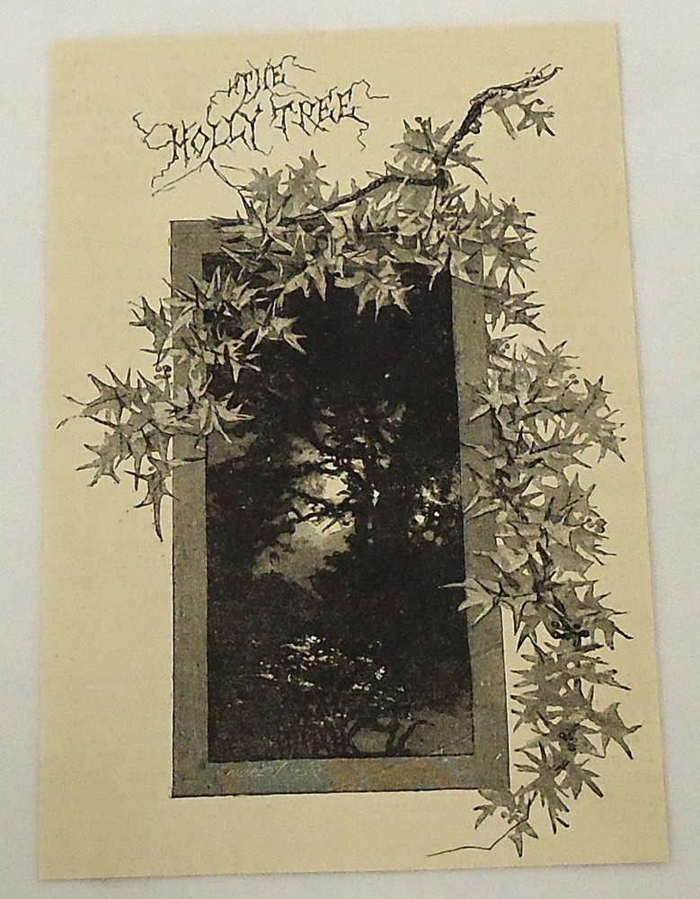 1887 magazine engraving ~ SPOOKY HOLLY TREE