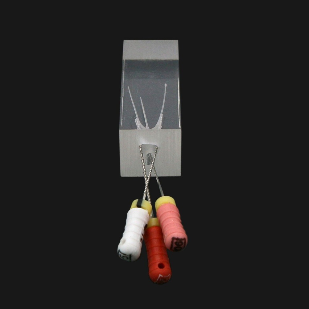 Dental Endo Root Canal Teeth Model Study Practice Block RCT Pulp Cavity