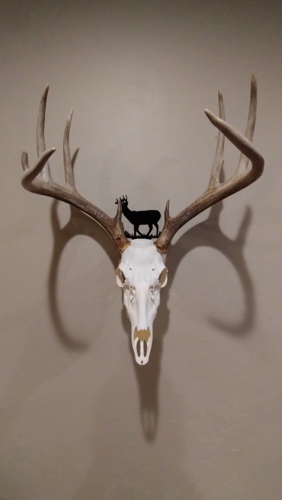 Whitetail Skull Hanger Black