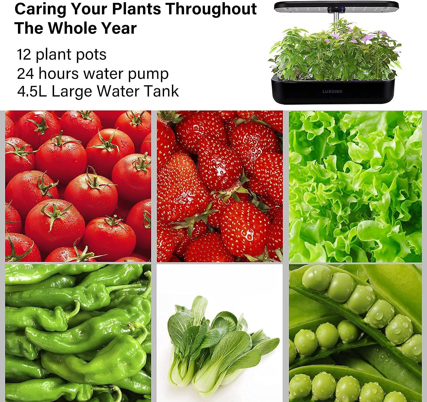 Hydroponics Growing System Indoor Herb Garden Starter Kit Plants Germination 36W
