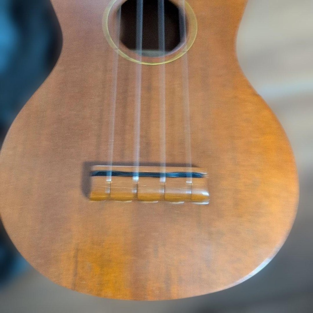 Famous Ukulele FS-1 with case