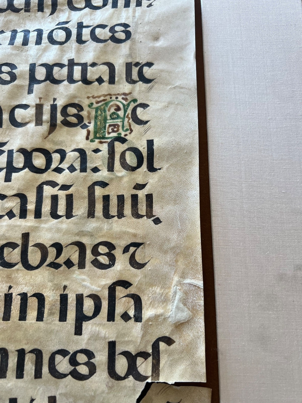 Rare Museum Large 15th century Illuminated Manuscript Leaf on Parchment