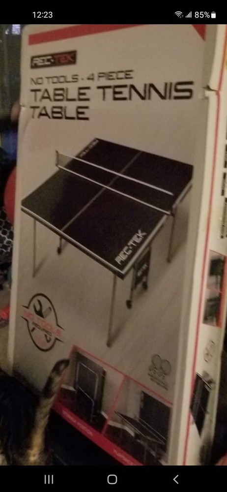 Rek-tek Ping Pong Table