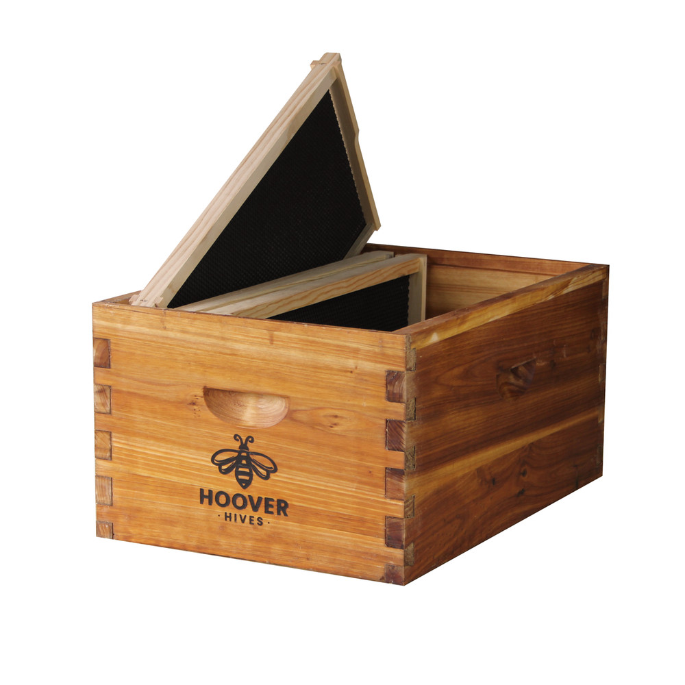 Wax-Coated 8 Frame Beehive - Starter Kit Starter Kit With 3 Frames