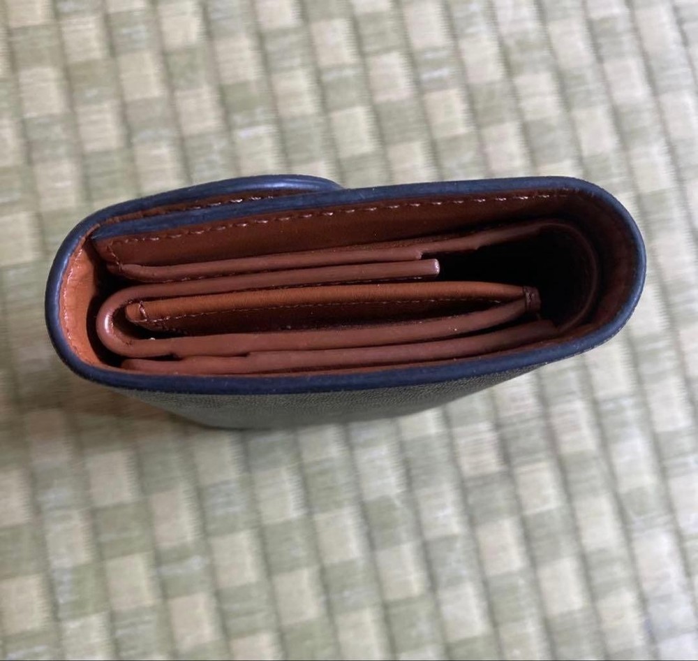 CELINE Small Tri Fold Wallet Tri Fold Wallet Triomphe From Japan