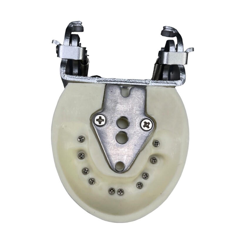 Kids Teeth Typodont Dental Implant Study Analysis Demonstration Teeth Model
