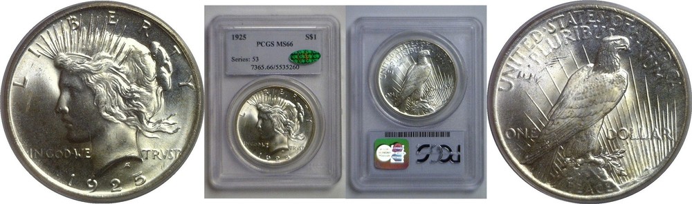 1925 Peace Dollar   PCGS MS-66  CAC