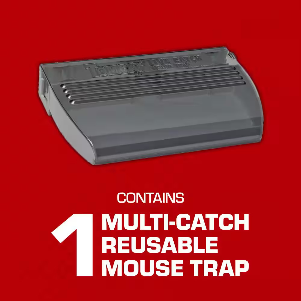 Multi-Catch Mouse Trap