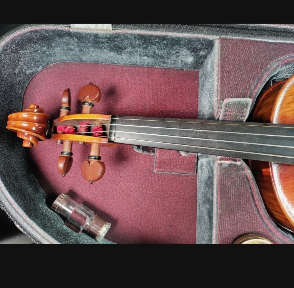 Ming Jiang Zhu  Violin