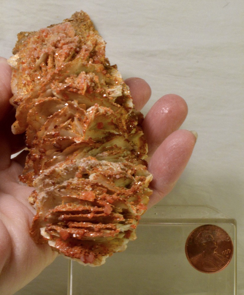#2519 Vanadinite on Barite - Morocco - Large Display piece