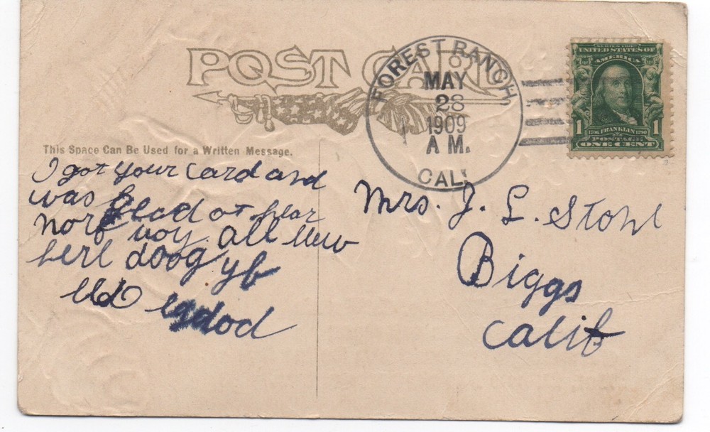 1909 Postcard with nice Cancel from Forest Ranch CA