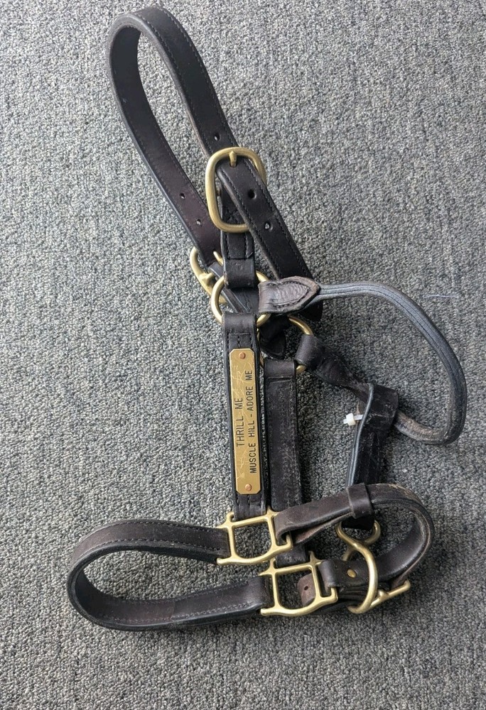 Used Leather Standardbred Horse Halter