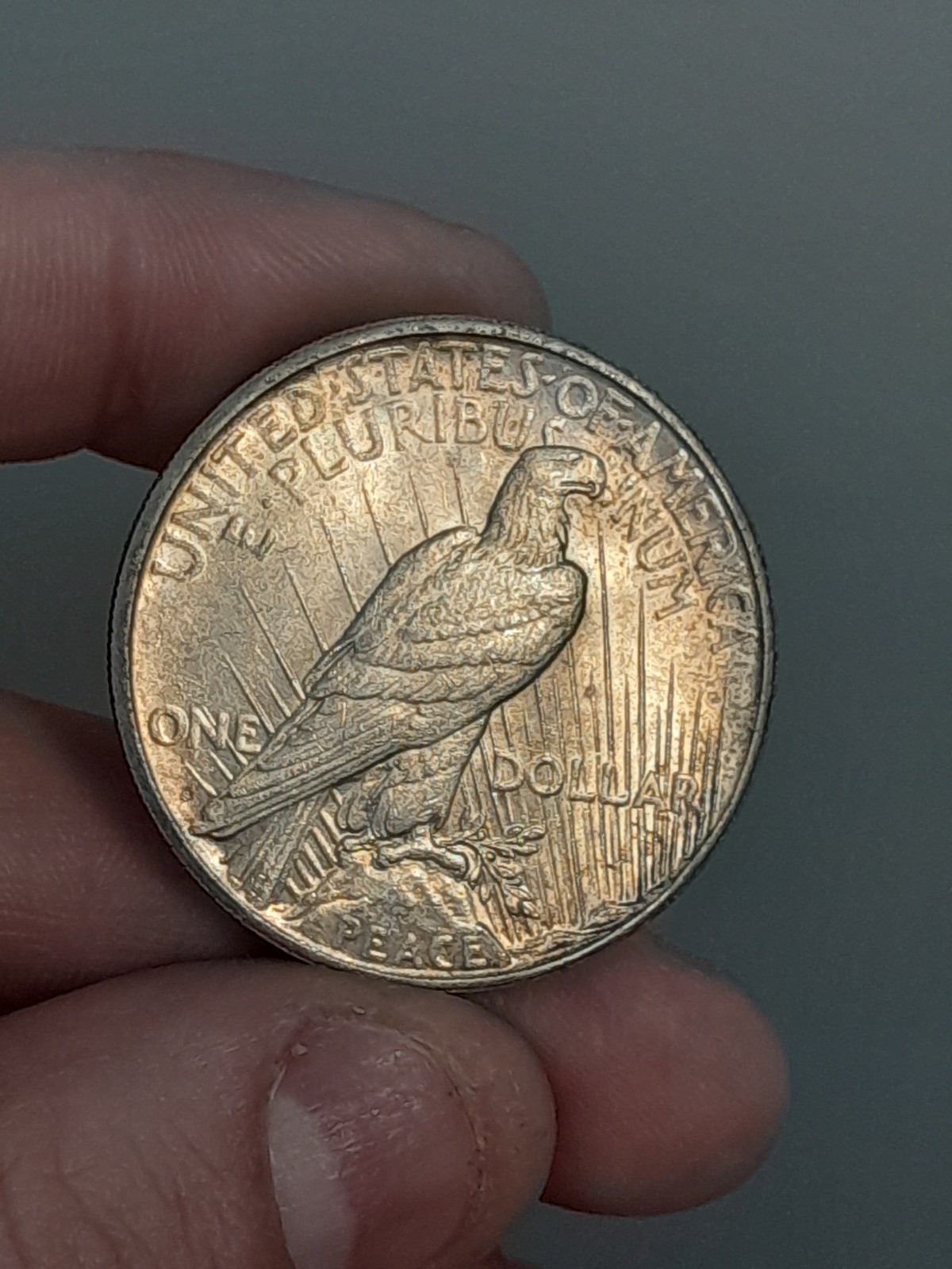 1922- S Peace Dollar Toned #5