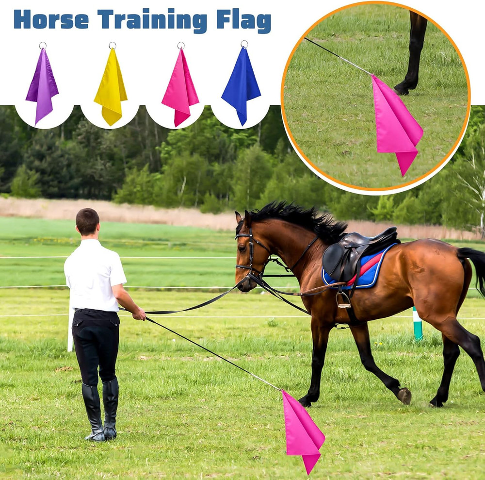 Equestrian Training Flag 4 Pieces Equestrian Training Equipment Nylon Flag with