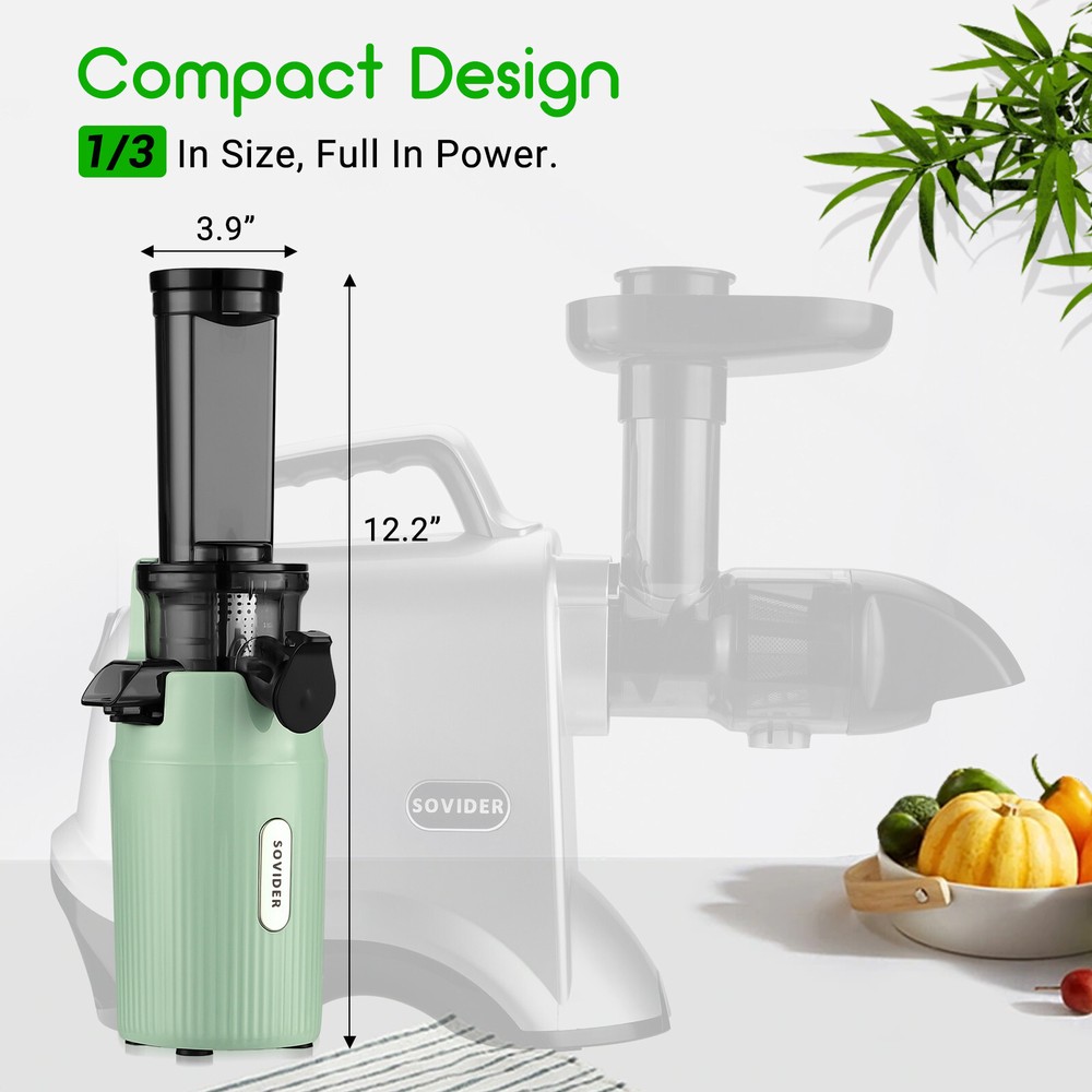 Compact Slow Juicer Machine Electric Juicer Cold Press Squeezer Vegetable 800ML
