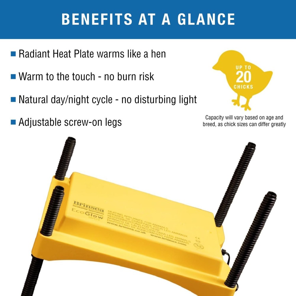 Ecoglow Safety 600 Chick or Duckling Brooder, Adjustable Height & Angle Brood...